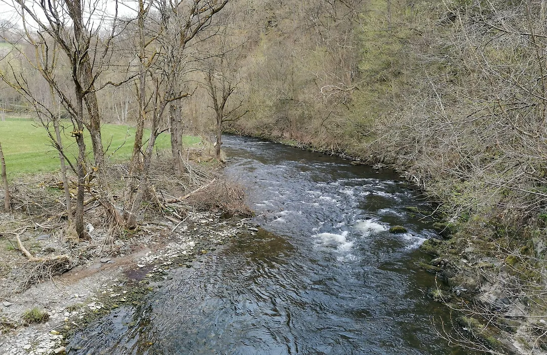 Hotel Haus Am See-1