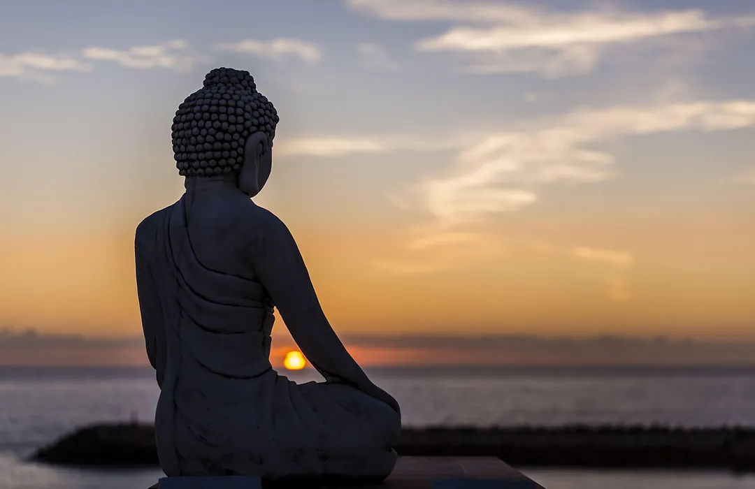 Sandhi House - Yoga & Wellness-1