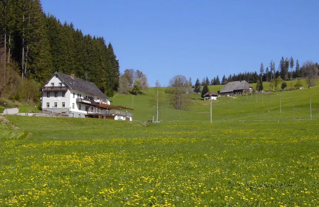 Gasthaus Pension Donishaeusle-1