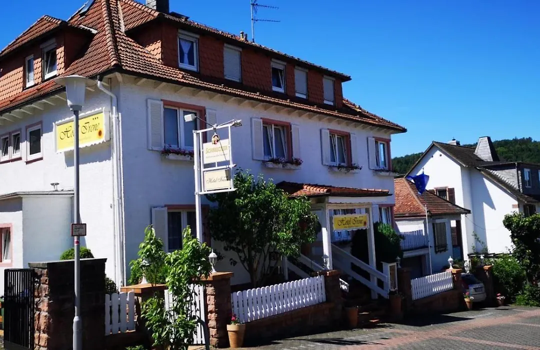 Hotel Irene-1
