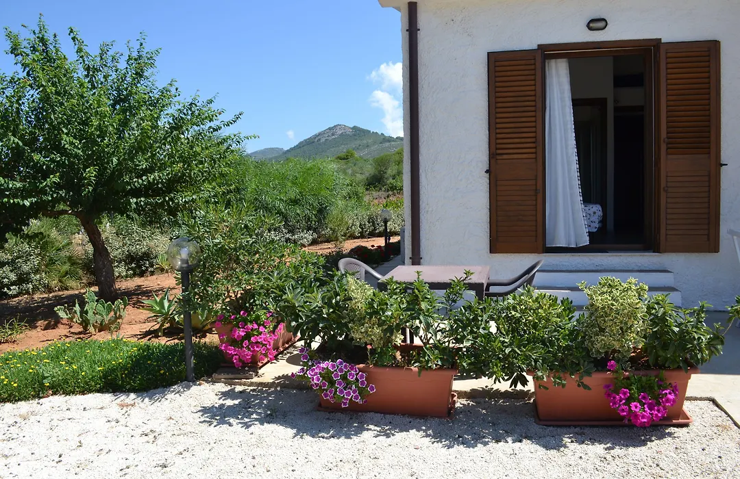 B&B La Casa Bianca di Porto Conte-1