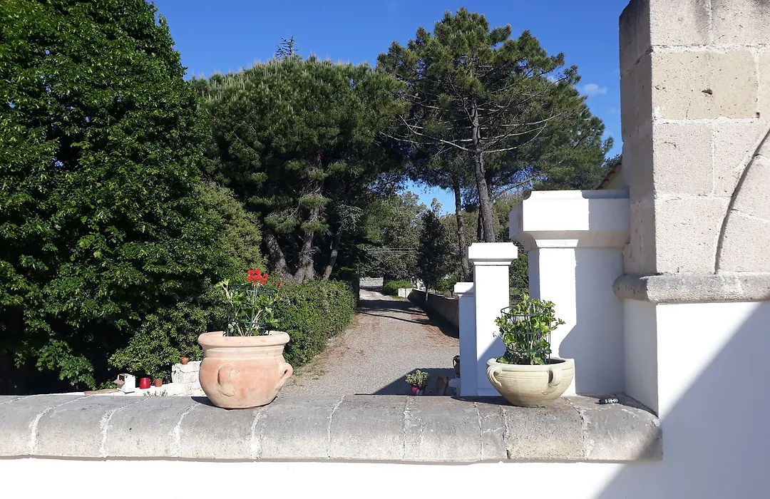 B&B Trulli E Mare-1
