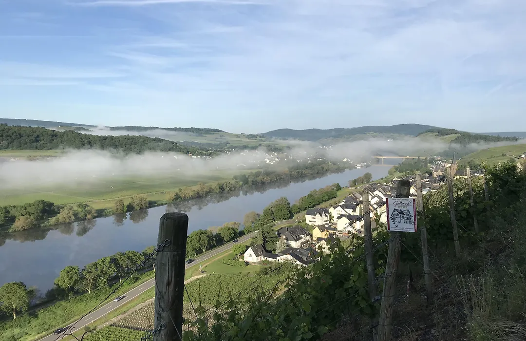 Wein- und Gästehaus Genetsch-1