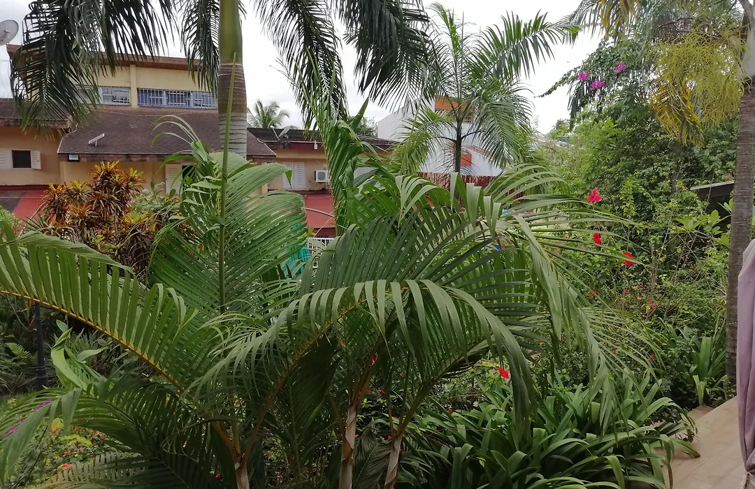 Villa Oasis Abidjan-1