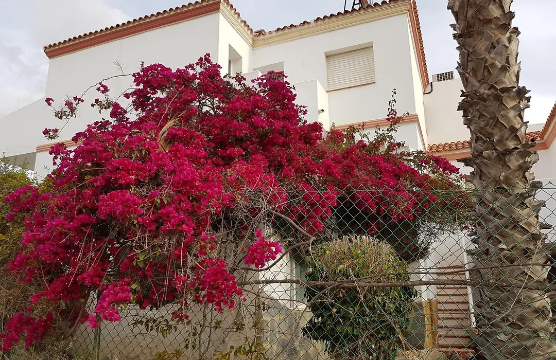 Hostal Manolo-1