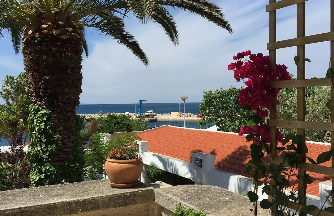 Guesthouse Punta Mira - Beachfront-1