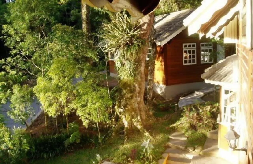 Pousada Floresta Negra-1