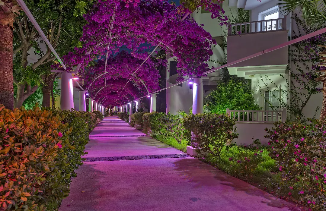 Bendis Beach Hotel-1