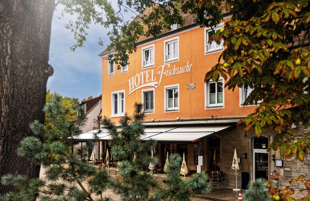 Hotel Fischzucht in Würzburg-1