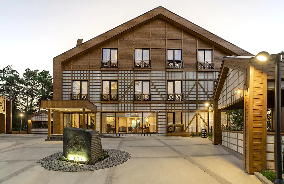 Hancioglu Orman Evleri & Hotel-1