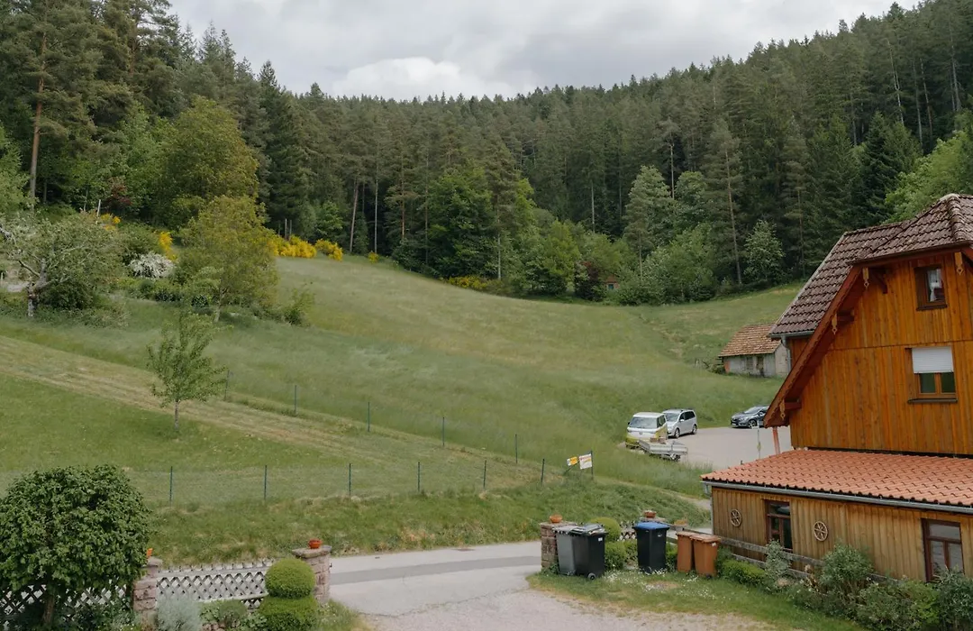 Gasthaus Talblick - Schwarzwald Plus Karte inkludiert-1