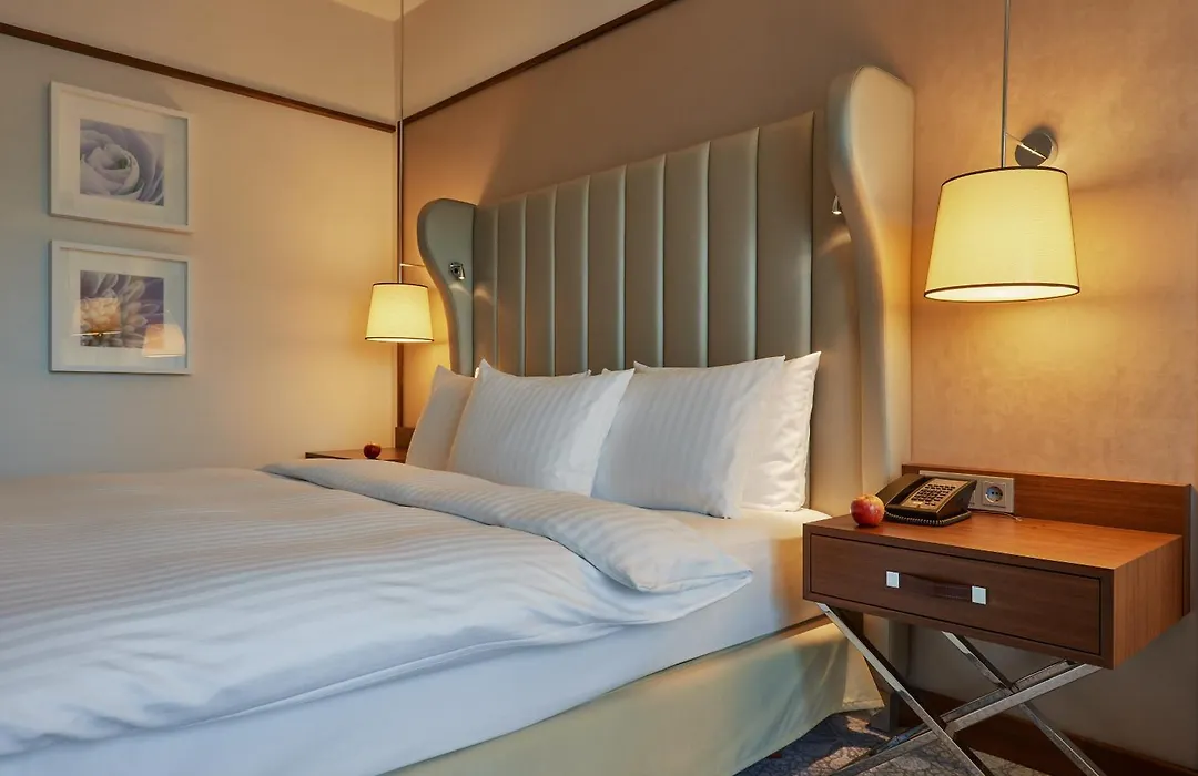 Dorint Hotel Bonn-1