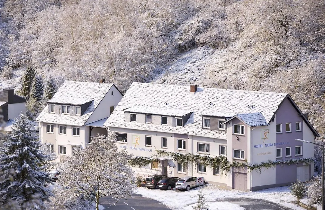 Hotel Emmerich-1