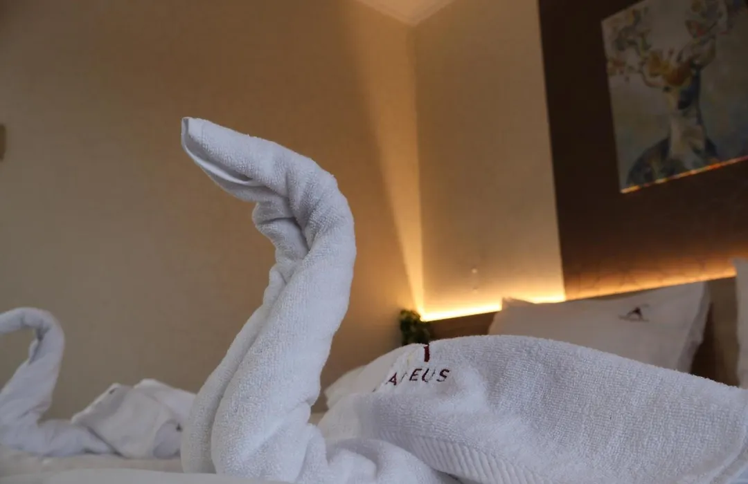 Hotel Amadeus-1