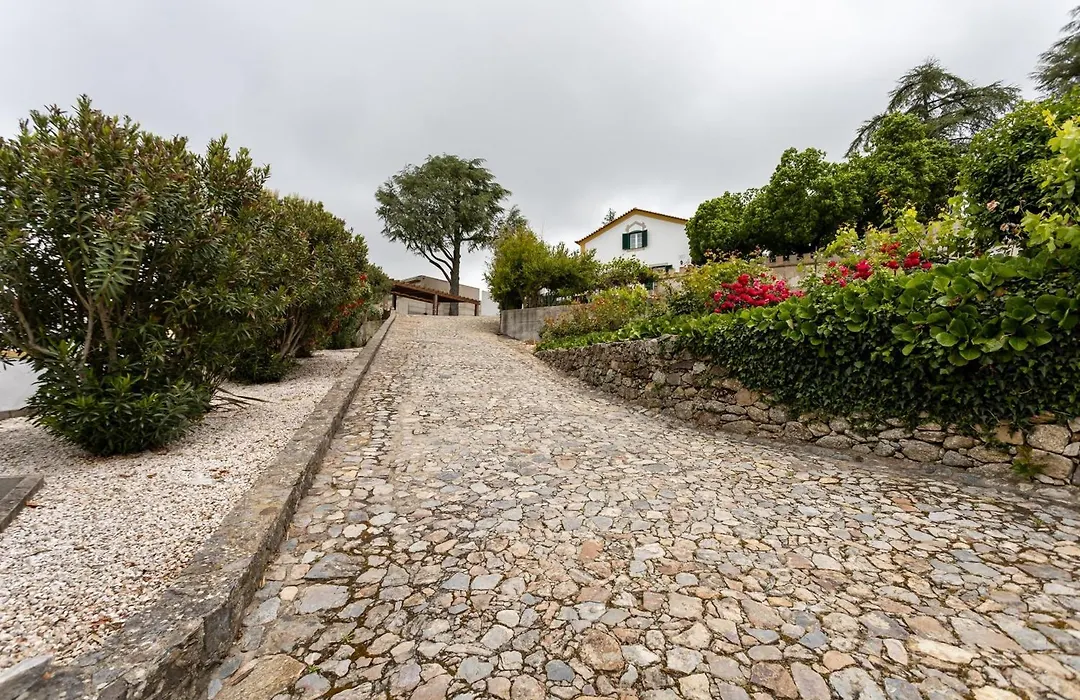 Vila Maria-1