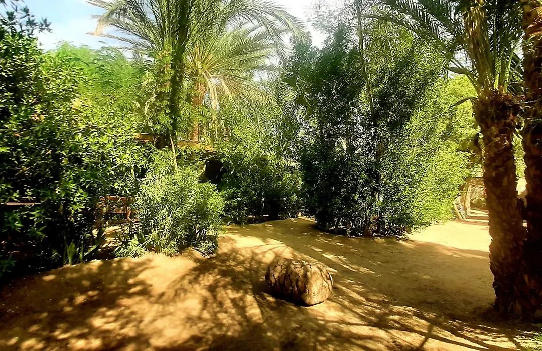 Nour El Gourna-1