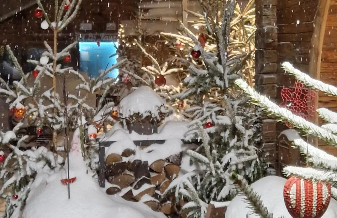 Lodge Hotel Les Rousses-1