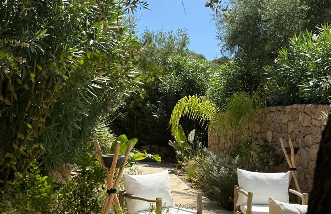 Les Suites Du Maquis-1