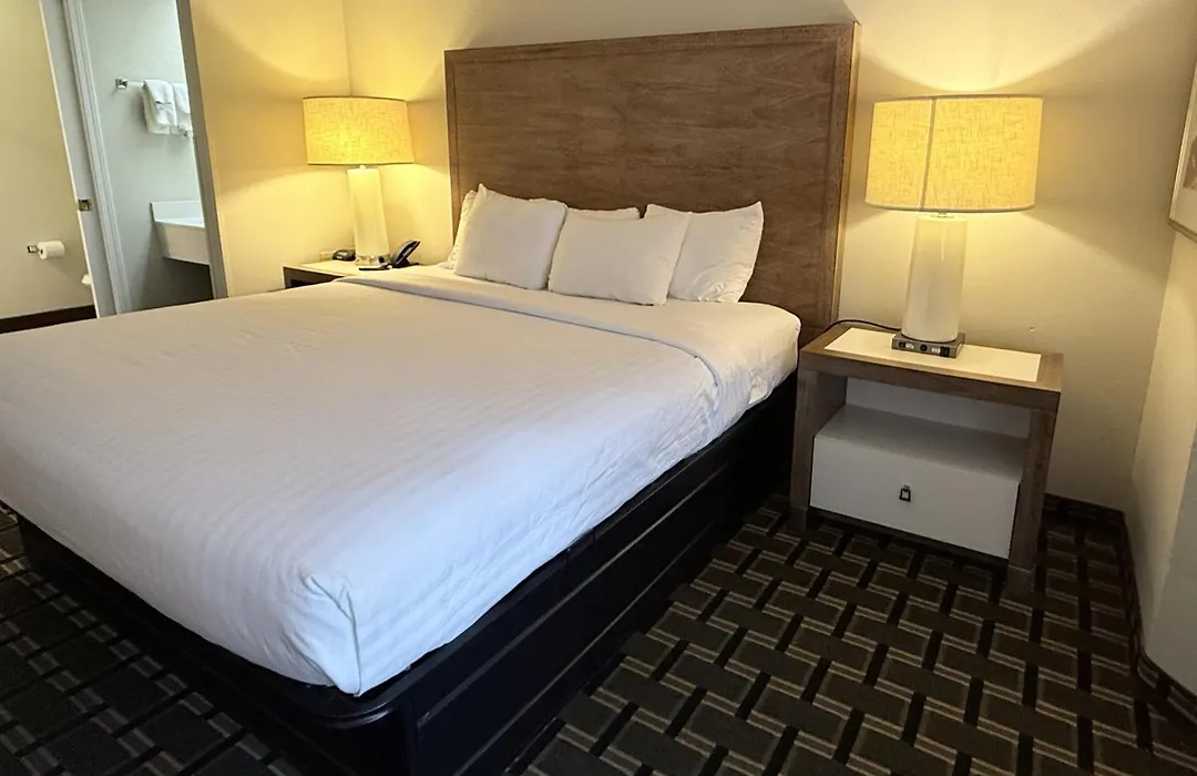 Edn Hotel-1