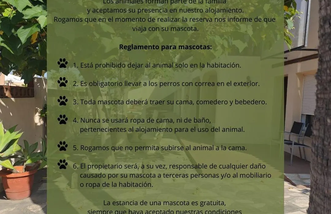 Alojamiento Café Soles-1