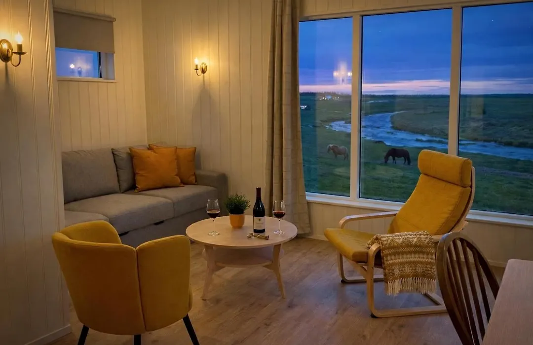 Hotel Laekur-1