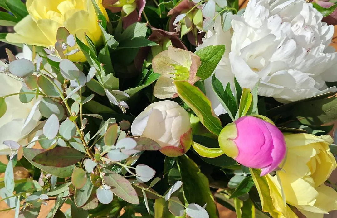 Le Pavillon des pivoines-1