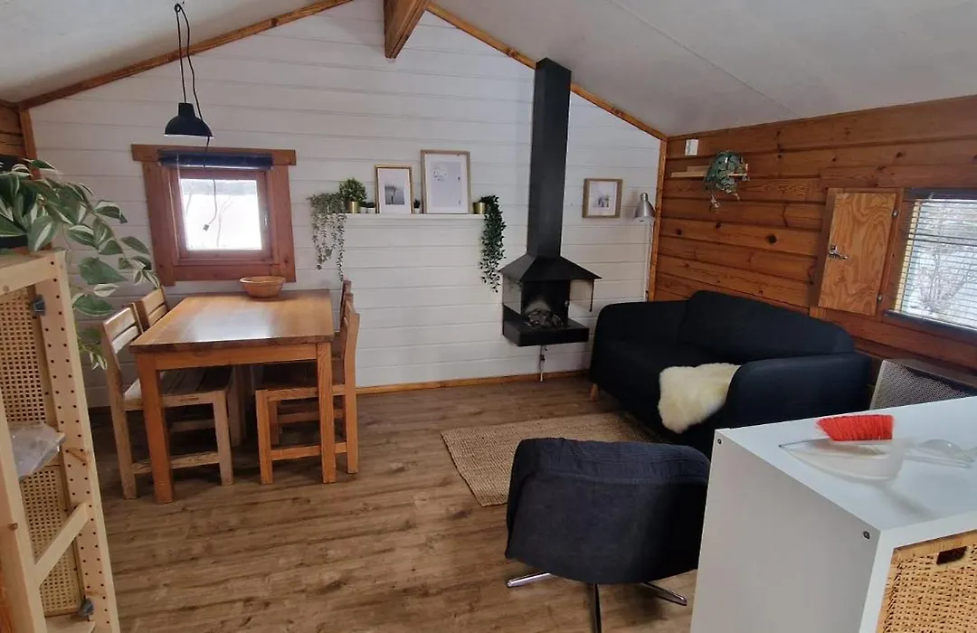 Scandinavisch dorp-1