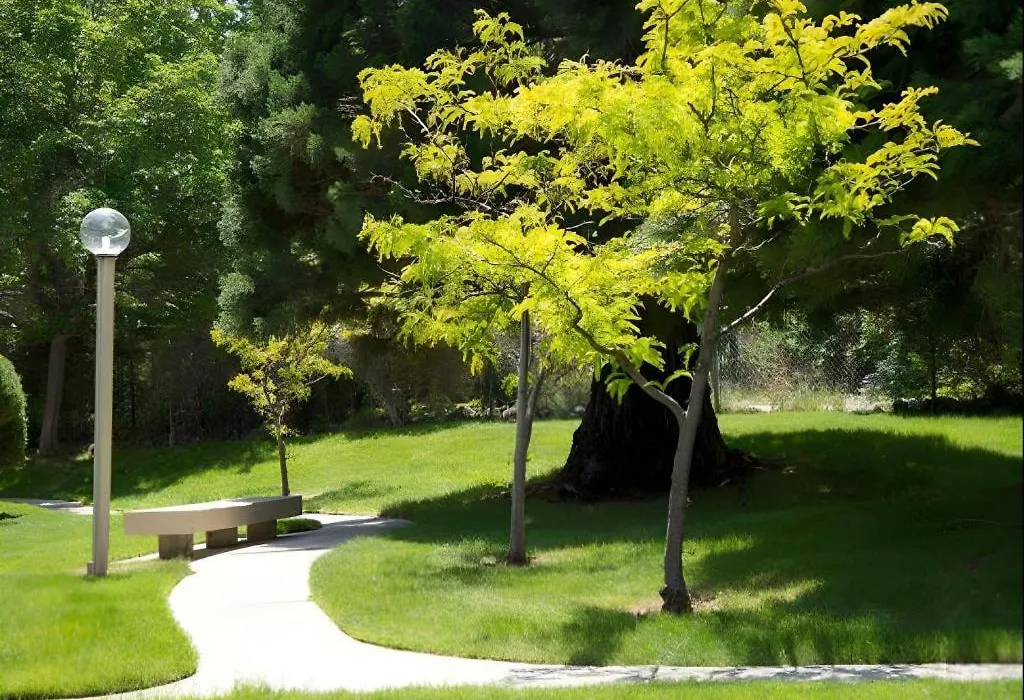 Club Lakeridge Resort-1