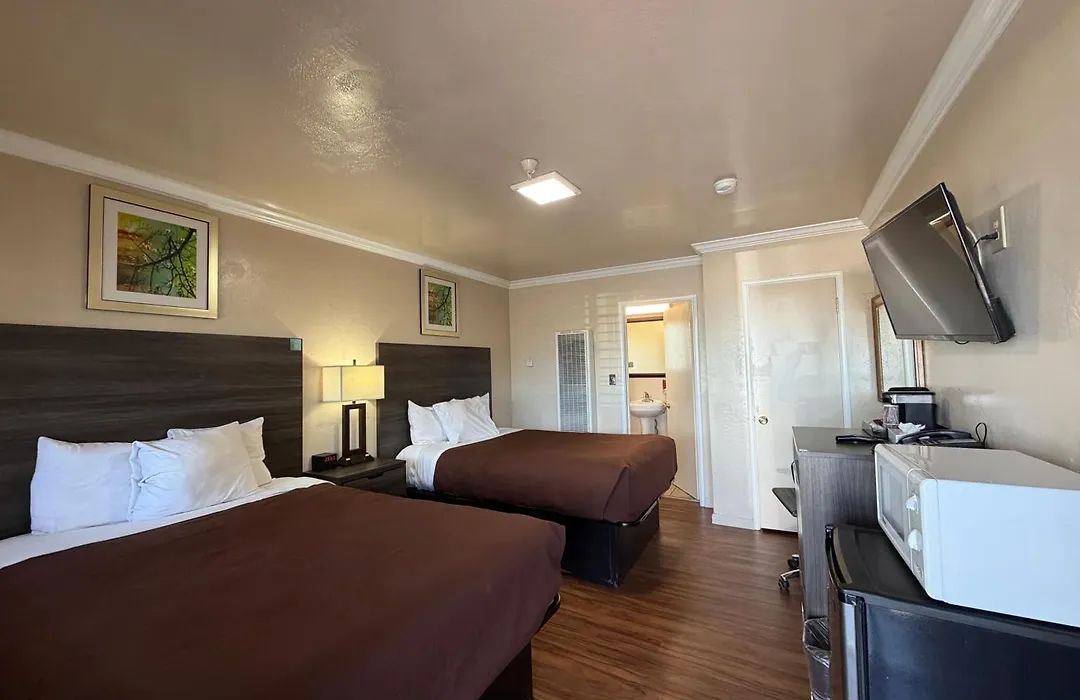 SurfSide Stay-1