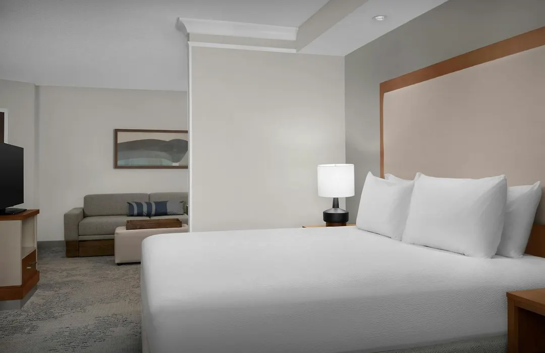Springhill Suites By Marriott Lynchburg Airport/University Area-1