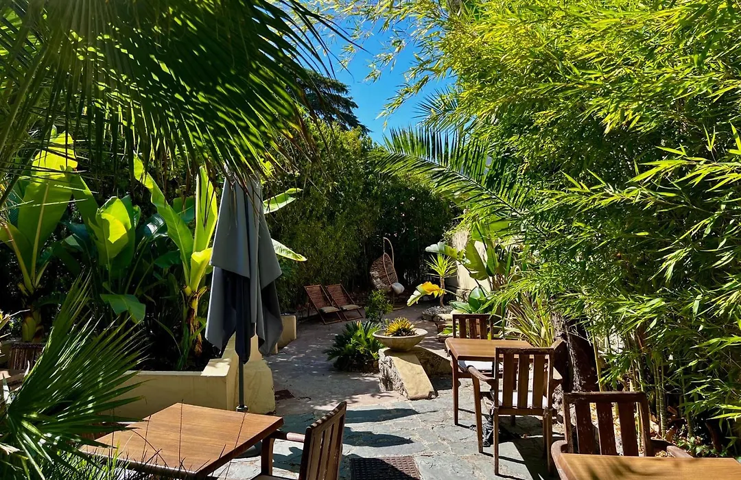 Hotel Alexandra - Boutique Hotel-1