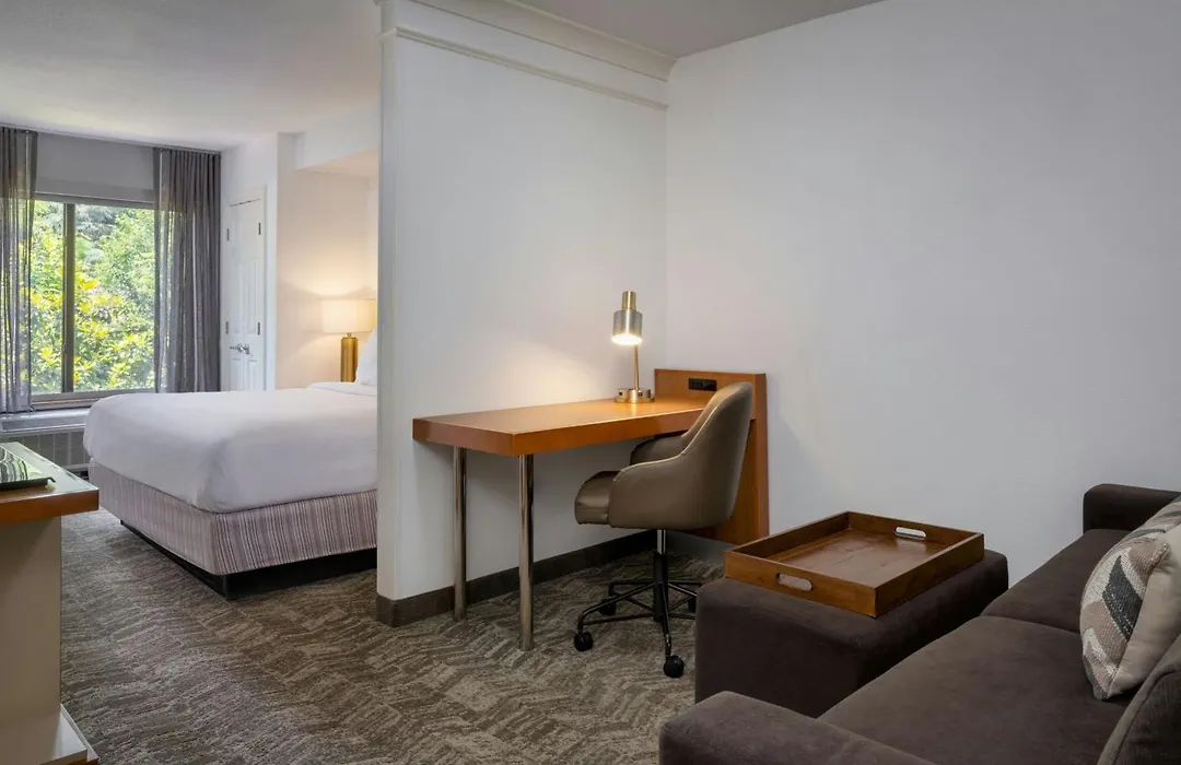 Springhill Suites By Marriott Charleston North-1