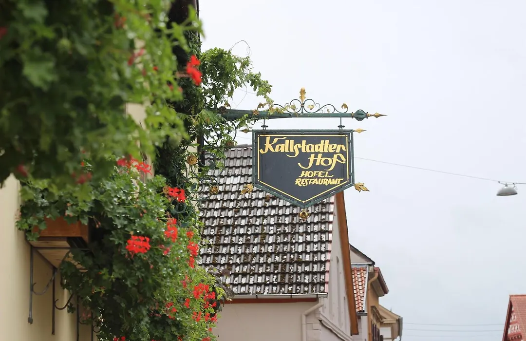 Hotel Kallstadter Hof-1