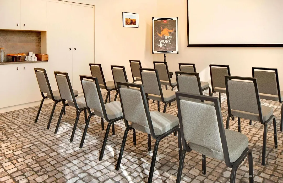 Ibis Vichy-1