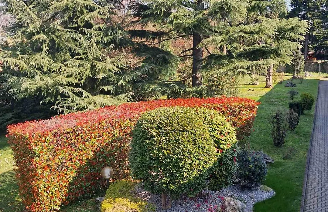 Hotel City Legnano-1