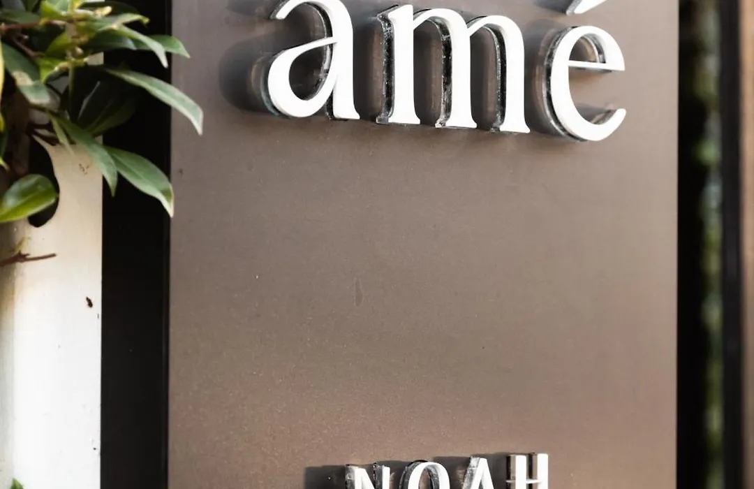 Ame By Noah-1