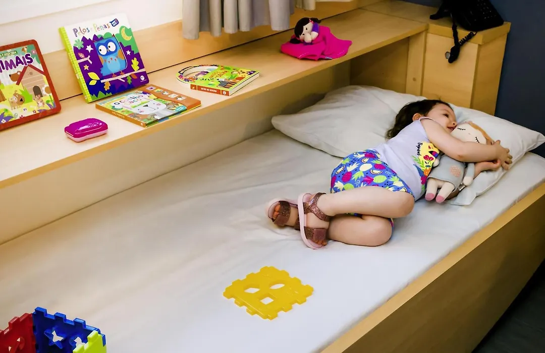 Ibis Marilia-1