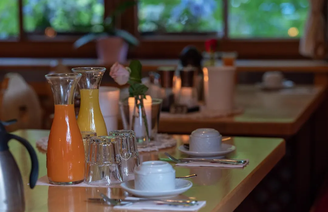 Hotel&Restaurant Grüner Baum - Die Grüne Oase Am Feldberg-1