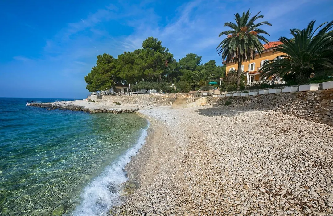 Kredo B&B-1