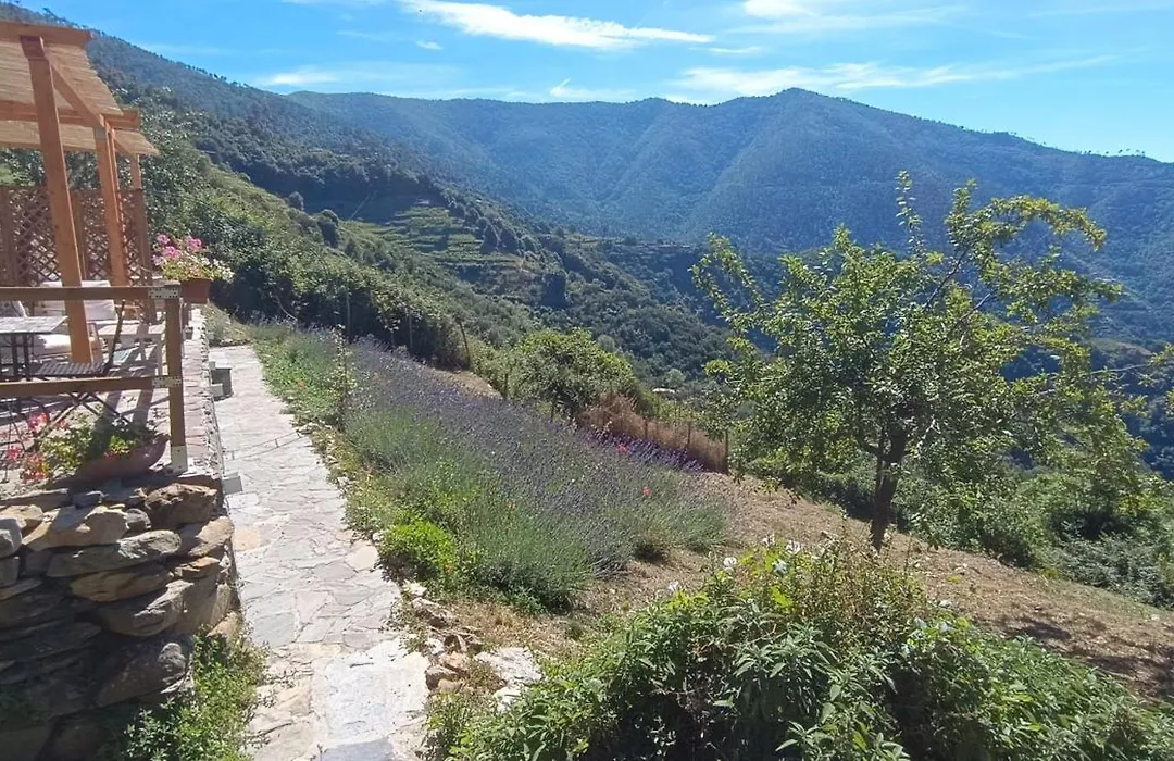 La quiete accesa-1