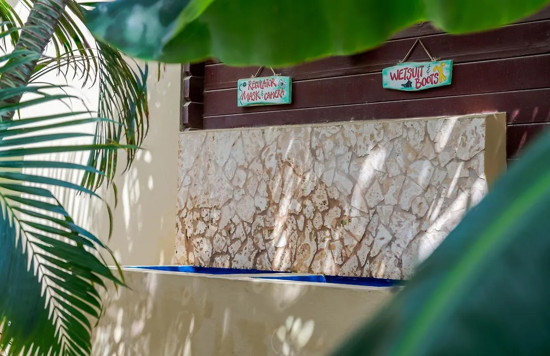 Bamboo Bonaire By Boutique Bonaire Unique Resorts-1