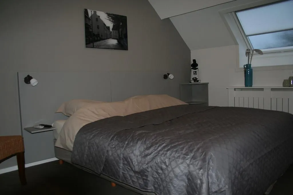 Thorn B&B-1