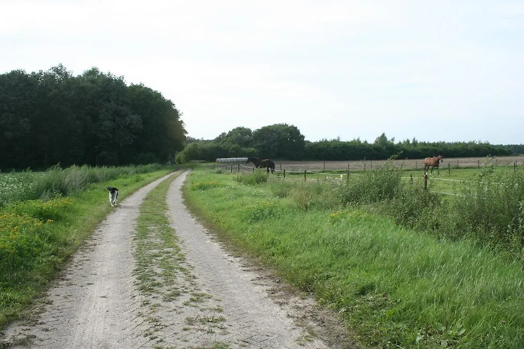 B&B De Drentse Es-1