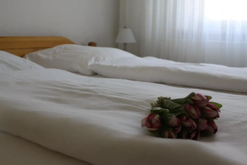 Hotel Weile-1
