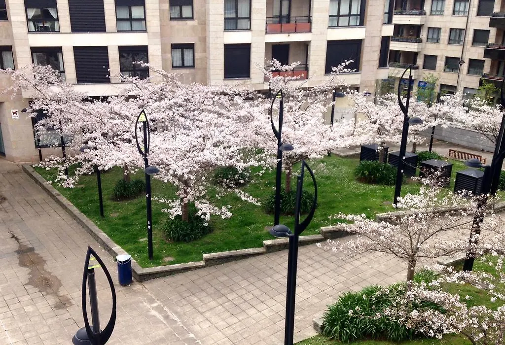 Pension T5 Donostia Suites-1