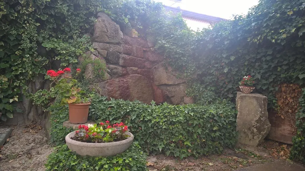 Hotel Terme Belvedere-1