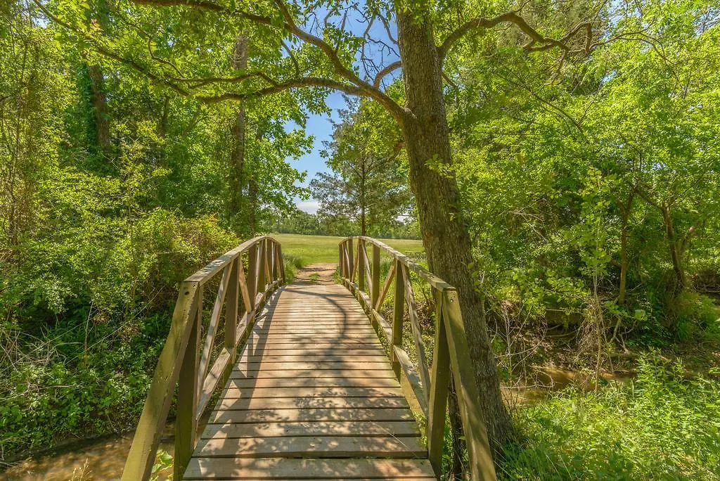 Lake Conroe Two-Bedroom Cabin 13-1