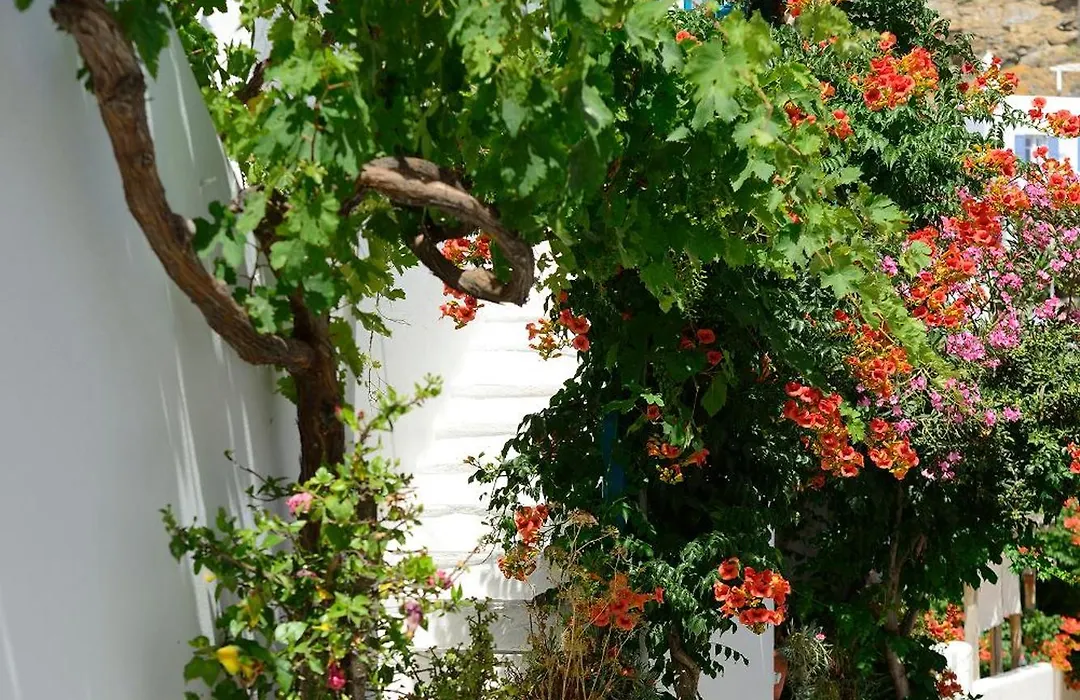 Hotel Nazos-1