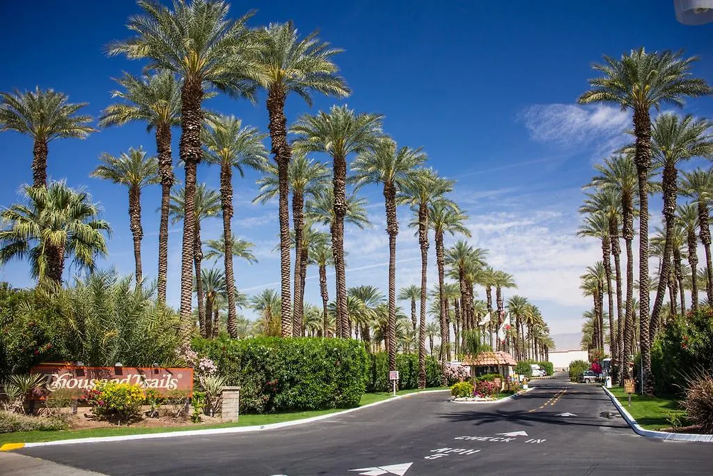Palm Springs Camping Resort Cabin 3-1