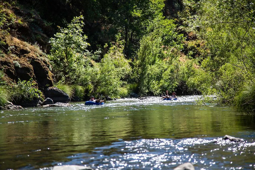 Russian River Camping Resort One-Bedroom Cabin 2-1